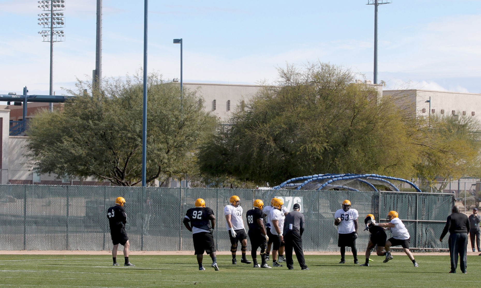 Sugar Skulls Football